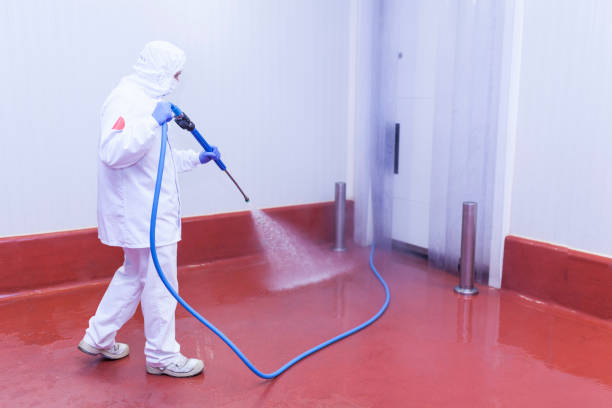 Best Window and Screen Pressure Cleaning in South St Paul, MN